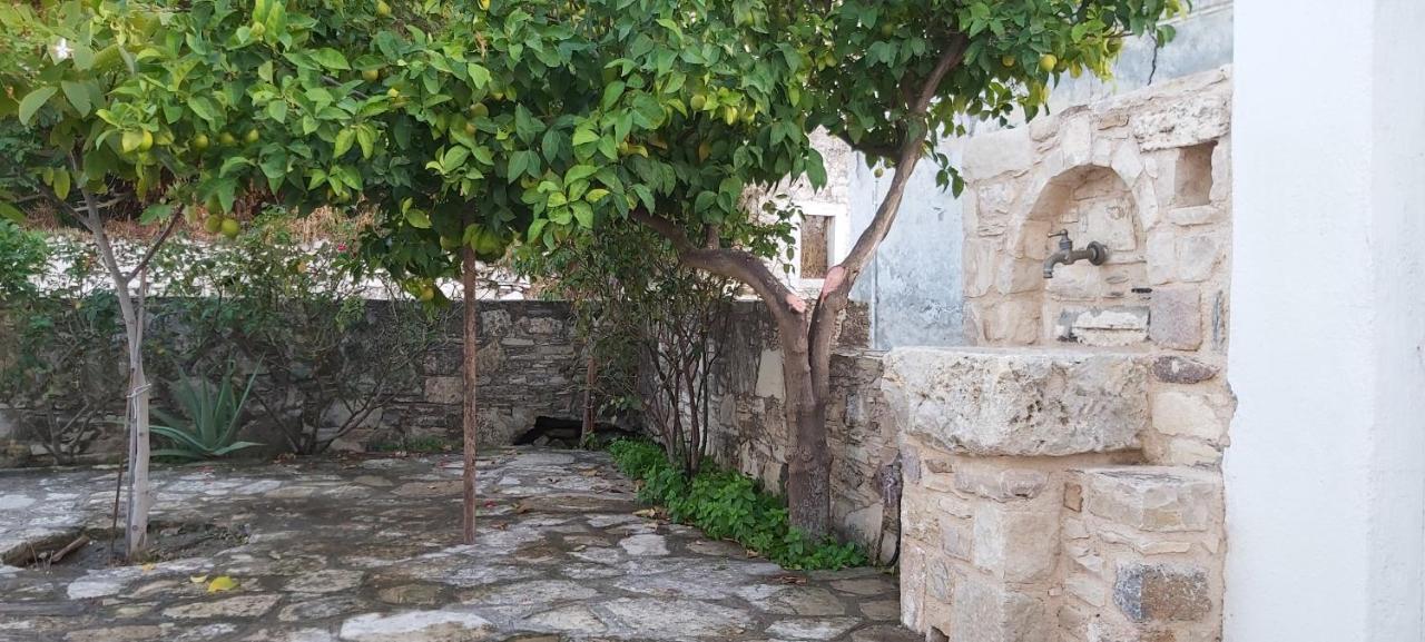 Small Traditional House In Asfendiou Kos Agios Dimitrios  Exterior foto